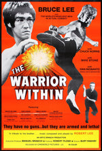 Original The Warrior Within movie poster