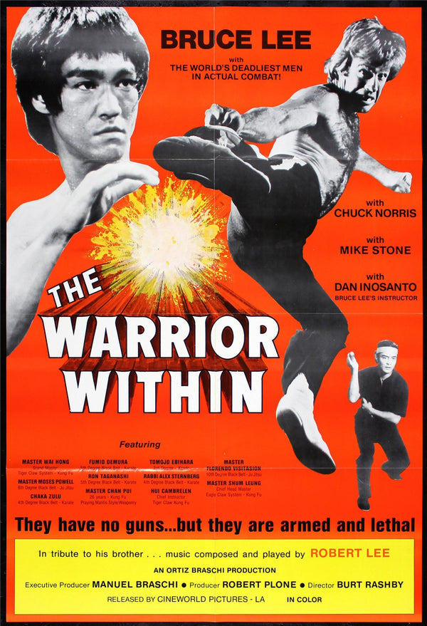 Original The Warrior Within movie poster